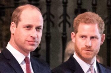 Le chagrin du prince Harry car il « ne peut pas réparer sa relation » avec William avant les retrouvailles