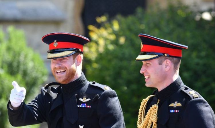Le deuxième enfant du prince Harry pourrait être un «catalyseur désespérément nécessaire» pour guérir la faille royale