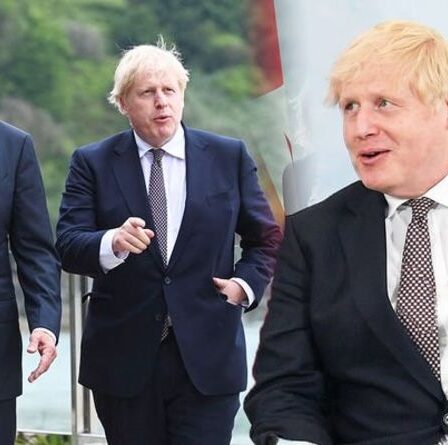 Le langage corporel de Boris Johnson et Joe Biden « impair » avant le G7 : « Des personnages très différents »
