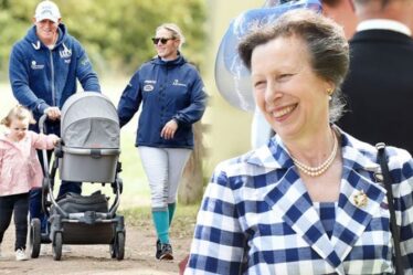Le langage corporel de la princesse Anne avec les enfants de Zara «très différent»: Royal montre «le vrai moi»
