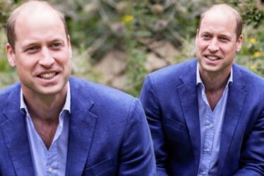 Le langage corporel du prince William "confiant et étonnamment sexy" dans un nouveau cliché d'anniversaire