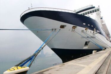 Le navire de croisière Royal Caribbean touché par de nouveaux cas de coronavirus porte un coup dur à l'industrie
