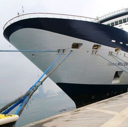 Le navire de croisière Royal Caribbean touché par de nouveaux cas de coronavirus porte un coup dur à l'industrie