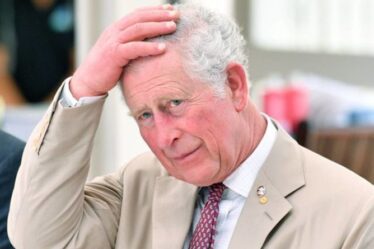 Le prince Charles dans une "position difficile" alors qu'il se prépare à reprendre le "projet pour animaux de compagnie de la reine"