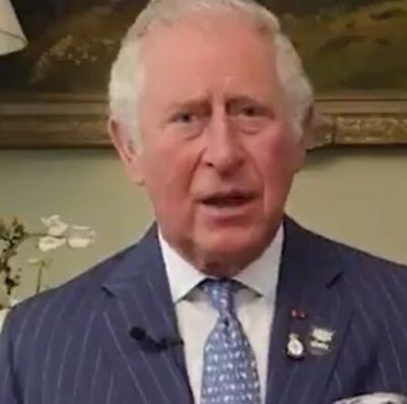 Le prince Charles «parfait royal» pour prononcer un discours du jour J – Une vidéo «traditionnelle» analysée