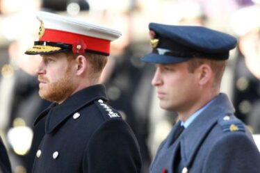 Le prince Harry et William se préparent pour leur première rencontre depuis des mois – "Il peut y avoir des nerfs"
