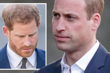 Le retour du prince Harry au Royaume-Uni déclenche une « urgence » au palais – le prince William en « désespoir »