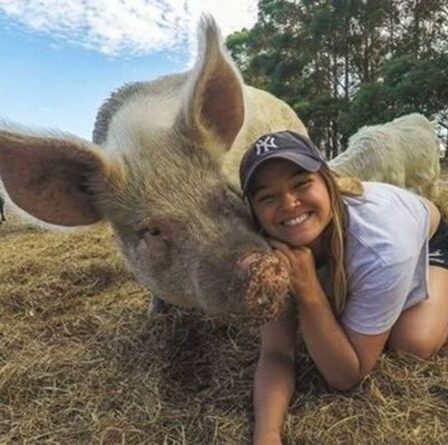 Le végétalien qui a fait rage contre les convives « abuseurs d'animaux » est interdit de TOUS les pubs et restaurants