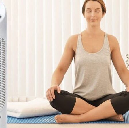 Le ventilateur qui garde votre « chambre au frais toute la nuit » est actuellement à 20 % de réduction