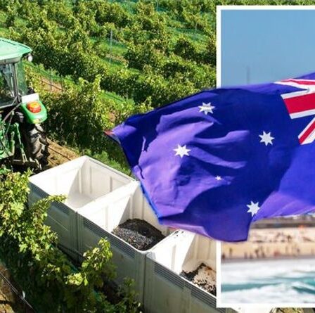 Les Britanniques peuvent travailler plus librement en Australie alors que les exigences en matière de travaux agricoles sont supprimées - nouvel accord