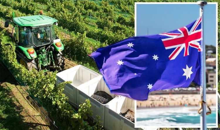 Les Britanniques peuvent travailler plus librement en Australie alors que les exigences en matière de travaux agricoles sont supprimées - nouvel accord