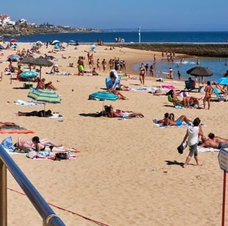 Les Britanniques rentrent chez eux du Portugal – « nos nouveaux vols au Portugal coûtent 600 £ »