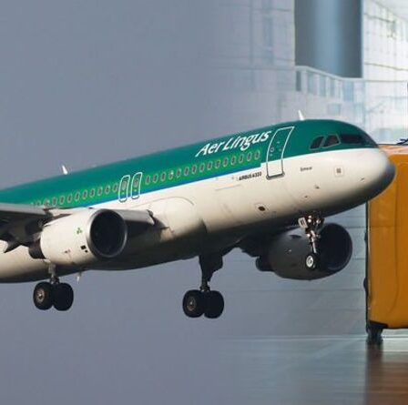 Les coûts des bagages à main explosent alors qu'Aer Lingus rejoint Ryanair et easyJet avec de nouveaux frais