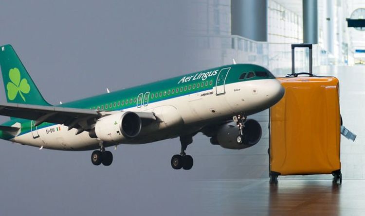 Les coûts des bagages à main explosent alors qu'Aer Lingus rejoint Ryanair et easyJet avec de nouveaux frais