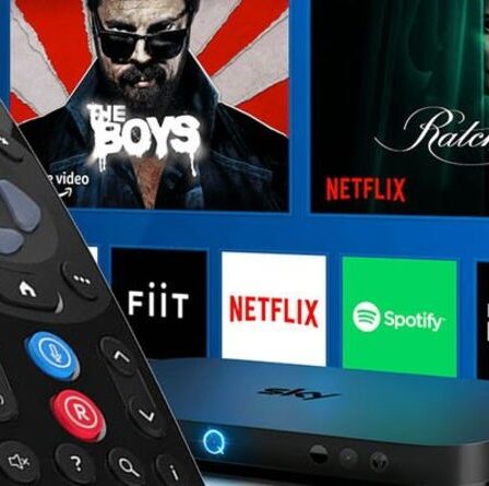 Les dernières baisses de prix de Sky offrent des offres « puissantes » sur la télévision, le haut débit et Netflix