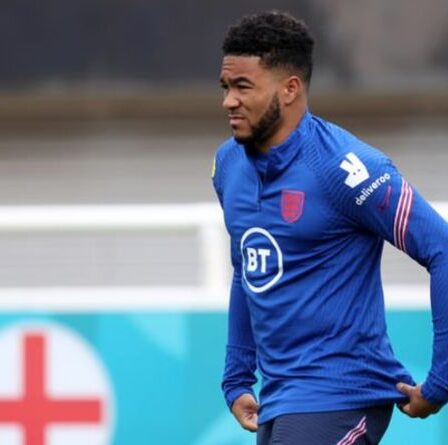 Les fans de Chelsea saluent «l'agent Reece James» pour avoir effectué le travail de transfert de Granovskaia en Angleterre