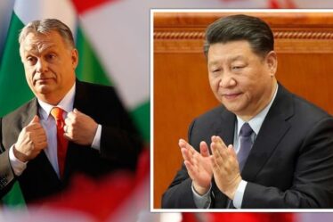 Les fissures de l'UE montrent après que "l'amie" de la Chine, la Hongrie, ait rompu les rangs pour conclure un accord avec Pékin