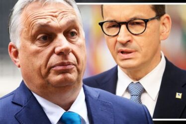 Les luttes intestines de l'UE éclatent alors que les nations se liguent contre la Hongrie et la Pologne – menaces de punition