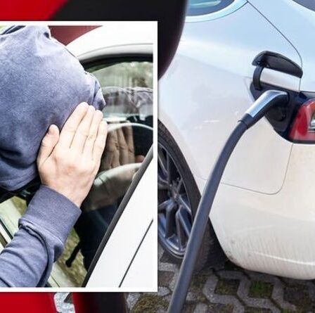 Les propriétaires de voitures électriques seront touchés par la prochaine vague de câbles et de batteries liés à la criminalité automobile au Royaume-Uni