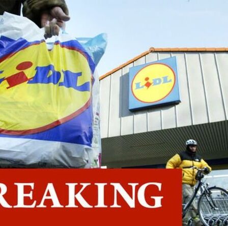 Lidl ouvrira 50 nouveaux magasins en 2021 : liste complète des emplacements