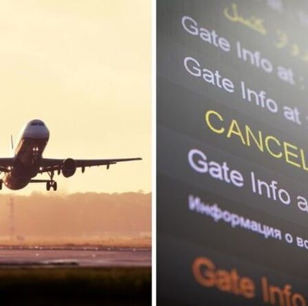 Liste ambre à supprimer ?  Le chaos des voyages alors que le parti travailliste appelle à la suppression de la liste controversée