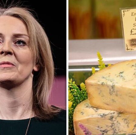 Liz Truss a raison pour le fromage alors qu'un déficit commercial stupéfiant est exposé