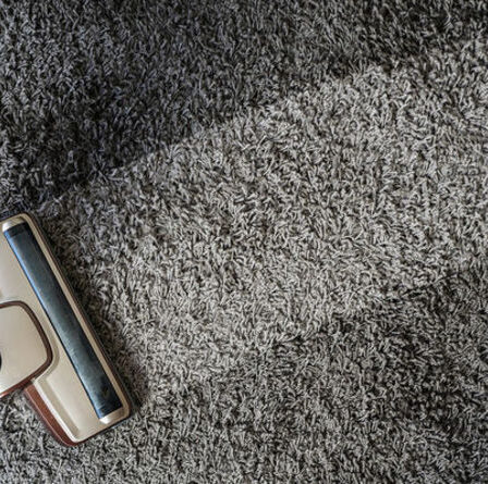 « Meilleure chose de tous les temps » : les fans de Mme Hinch partagent un hack de nettoyage pour enlever les poils des tapis