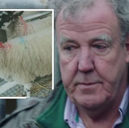 Moment déchirant Clarkson en larmes alors que les moutons sont envoyés à l'abattoir "Ils sont déjà morts?"