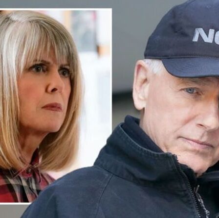 NCIS saison 19: Gibbs travaille sous couverture pour arrêter Marcie Warren alors que les fans lancent une torsion meurtrière