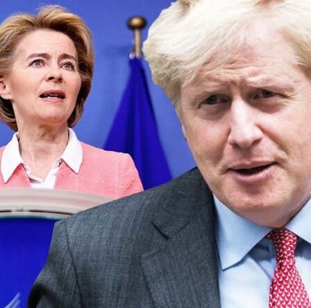 Ne le fais pas !  Boris a averti que les représailles contre l'UE pourraient ENDOMMAGER les perspectives d'un accord commercial mondial