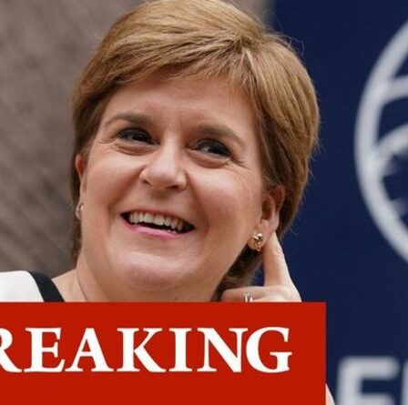 Ne nous a pas battus, cependant!  Bitter Sturgeon ne peut pas résister à un coup contre l'Angleterre après la victoire de l'Allemagne