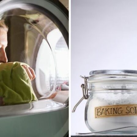 Nettoyage : Débarrassez-vous de la moisissure dans votre machine à laver avec du vinaigre blanc et du bicarbonate de soude
