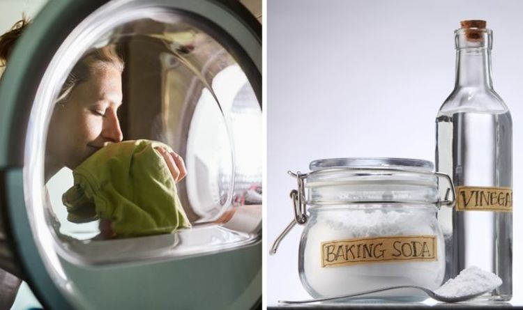 Nettoyage : Débarrassez-vous de la moisissure dans votre machine à laver avec du vinaigre blanc et du bicarbonate de soude