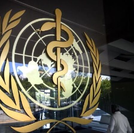 Noms des variantes de Covid: L'OMS doit renommer en utilisant les lettres grecques `` Alpha '', `` Delta '', `` Beta ''