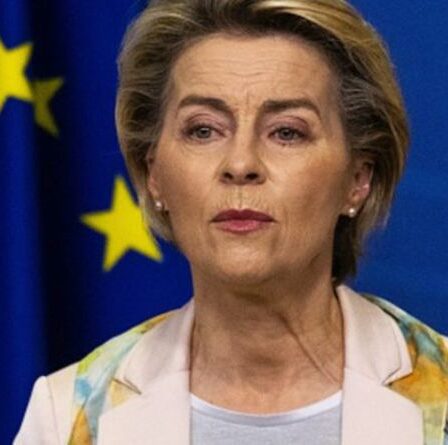 'Non, merci!'  Les Frexiteers appellent les offres de prise de pouvoir de l'UE - "Sortons de cet enfer"