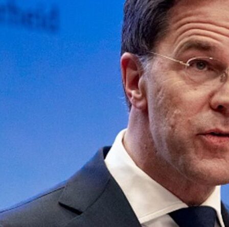 Nous avons essayé de vous prévenir !  L'UE resserre son étau alors que les députés néerlandais BLOQUENT le droit de veto - Nexit fury