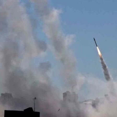 « Nous sommes des canards assis ! »  Les Malouines ouvertes à l'assaut argentin – craintes d'une défense antimissile faible