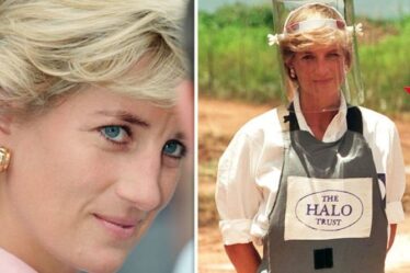 Nouveaux détails sur la mort de Diana : quelles sont les dernières révélations - la vraie raison pour laquelle elle était à Paris