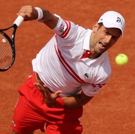 Novak Djokovic fait rage contre le chahuteur avant de battre Pablo Cuevas au deuxième tour de Roland-Garros
