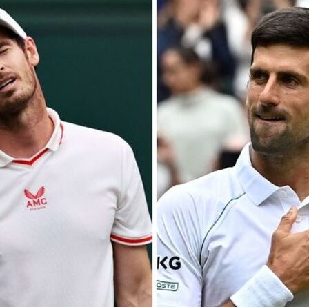 Novak Djokovic n'est pas d'accord avec Andy Murray sur les préoccupations du tribunal de Wimbledon