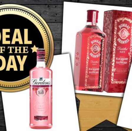 OFFRE DU JOUR : Meilleures remises sur le gin de Morrisons, Tesco et plus encore pour la Journée mondiale du gin