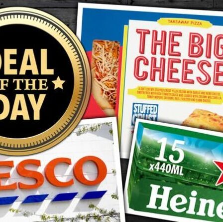 OFFRE DU JOUR : Tesco réduit de 50 % les aliments pour barbecue, les bières, les glaces et les pizzas