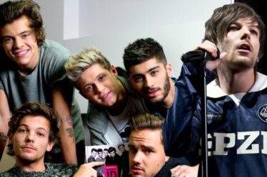 One Direction : Pourquoi les Directioners ont jeté des légumes sur le groupe sur scène
