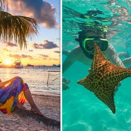 Où fait-il chaud en décembre ?  Les 10 destinations de vacances que vous pourriez visiter cet hiver