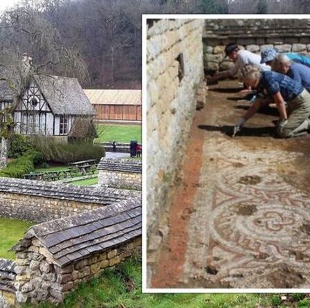 Percée archéologique: la découverte de la mosaïque "réécrit l'héritage de l'empire romain en Grande-Bretagne"
