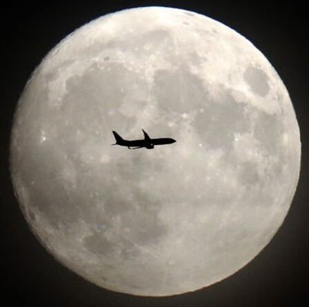 Pleine Lune 2021 : Est-ce une Pleine Lune ce soir ?  La belle Strawberry Moon se lève cette semaine