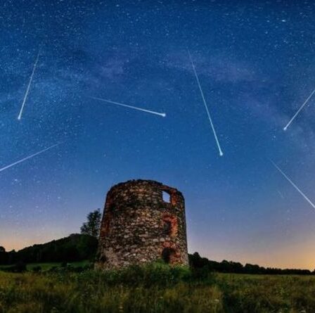 Pluie de météores 2021: les Ariétides culmineront dans les prochains jours - comment voir