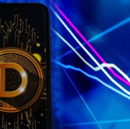 Pourquoi Dogecoin plante-t-il ?  Elon Musk envoie un jeton PLUNGING après un tweet