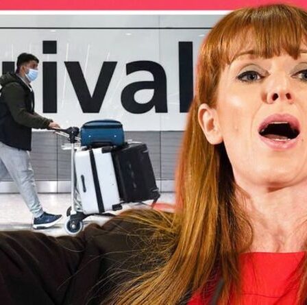 Pouvez-vous briser la quarantaine?  Angela Rayner fait rage que Boris «prenne le pi**» avec de nouvelles règles