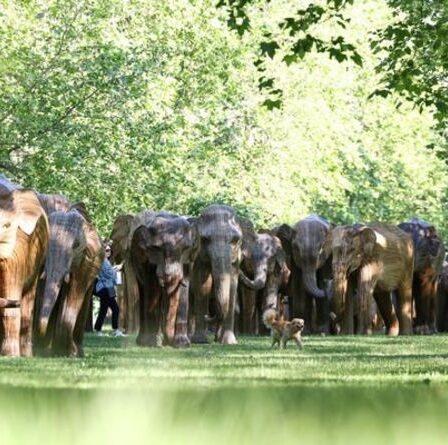 Promenez-vous parmi un troupeau d'éléphants pendant que des artistes apportent des sculptures grandeur nature au parc